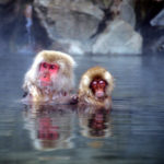 【海外の反応】日本文化が世界を征服してしまったとしてその際、君は最初に何をやる？