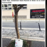 日本を見てると自分の国が恥ずかしくなるよ‥「オンリージャパン」に対する海外の反応