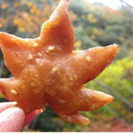 【海外の反応】今日初めて知ったことーー日本人は紅葉の天ぷらをおやつとして食べている