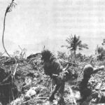 フランス人だが日本兵を尊敬する　映画『太平洋の奇跡−フォックスと呼ばれた男−』についた海外のコメント